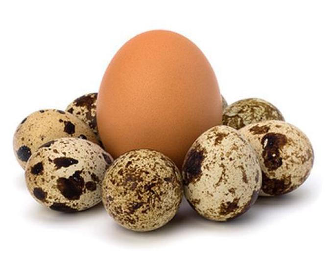 Сколько калорий в жареном яйце на подсолнечном масле и в яичнице из 2 яиц?