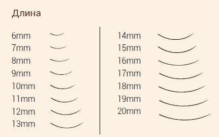 Изгибы ресниц для наращивания: l, м, с, л, d, сс, b, j, 3D. Фото, размеры, толщина и длина