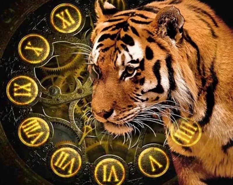 гороскоп в год водяного тигра