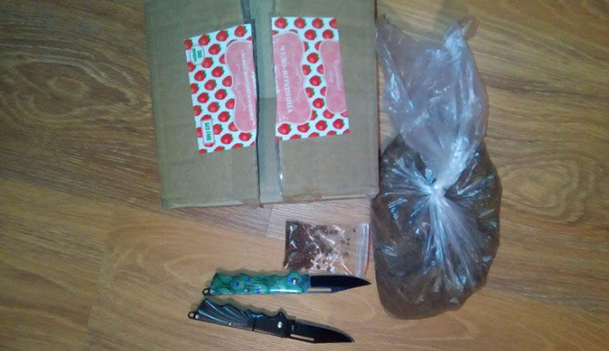 Прислали 2 перочинных ножичка, пакет с песком и пакетик семян похожие на редис за 4300 рублей.